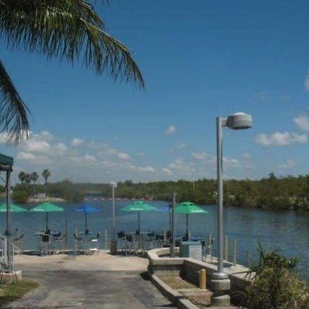 Miami Bed And Breakfast Country Walk Екстер'єр фото